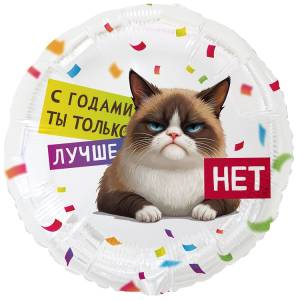 18" РУС С ГОДАМИ ТЫ ЛУЧШЕ Кот Сердитый (Китай) / 1202-4242
