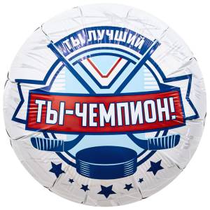 18" РУС Ты Чемпион Хоккеист (Россия) / 1207-4199